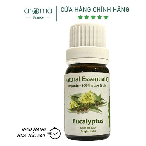 Tinh Dầu Thiên Nhiên Khuynh diệp - Eucalyptus Essential Oil - tinh dầu xông nhà, tinh dầu thơm nhà