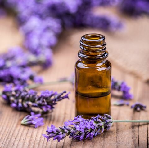 Tinh Dầu Hữu Cơ Oải Hương Pháp - Eco Lavender France Essential Oil - tinh dầu xông nhà, tinh dầu thơm nhà