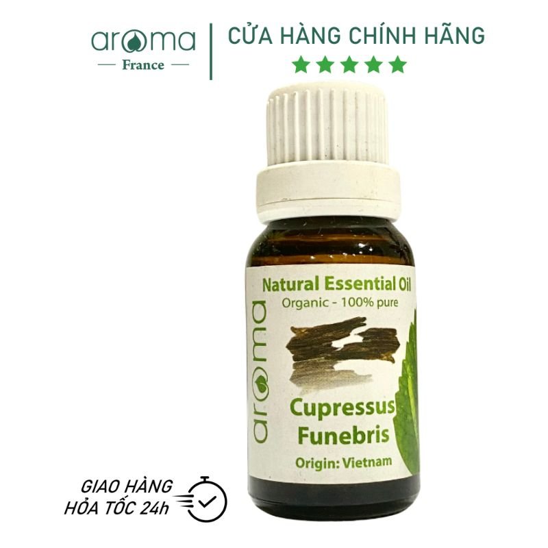 Tinh Dầu Thiên Nhiên Ngọc Am - Cupressus Funebris Essential Oil - tinh dầu xông nhà, tinh dầu thơm nhà