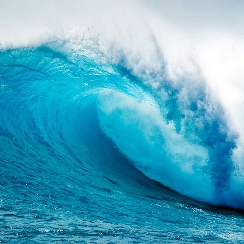 Nước hoa thiên nhiên Hoa nhài, nước biển, Hoa linh lan và Hoa hồng - Harrya Ocean perfume