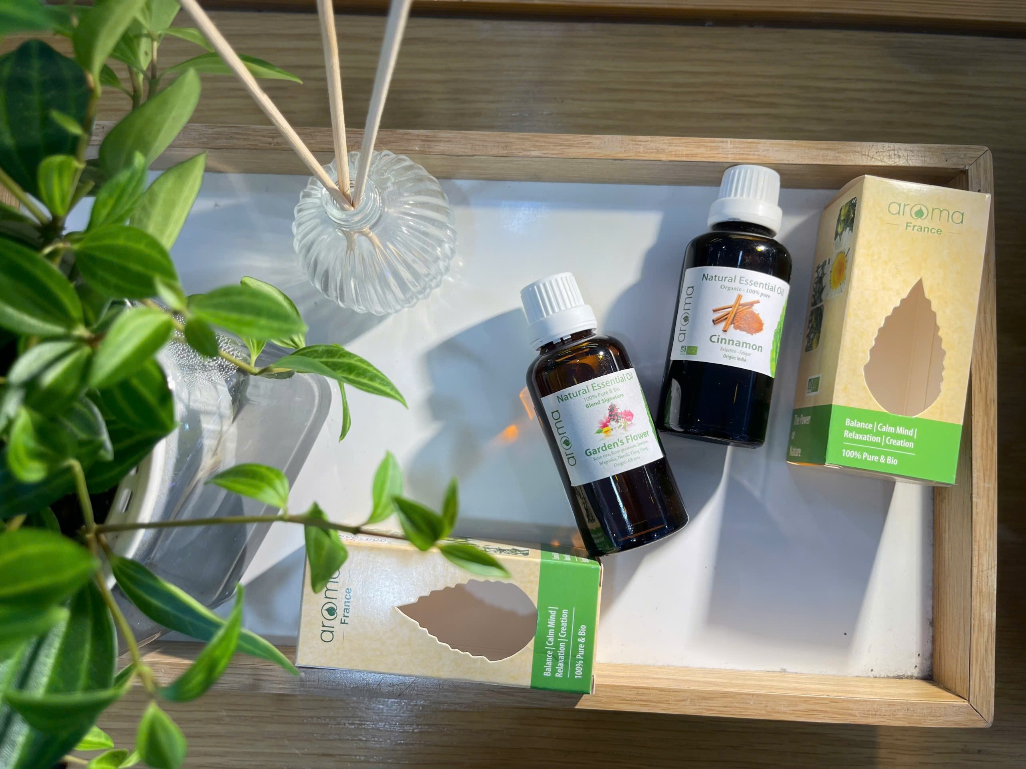 THIẾT KẾ MÙI HƯƠNG RIÊNG BIỆT – KHẲNG ĐỊNH PHONG CÁCH ĐẲNG CẤP | Combo | Quà tặng VIP
