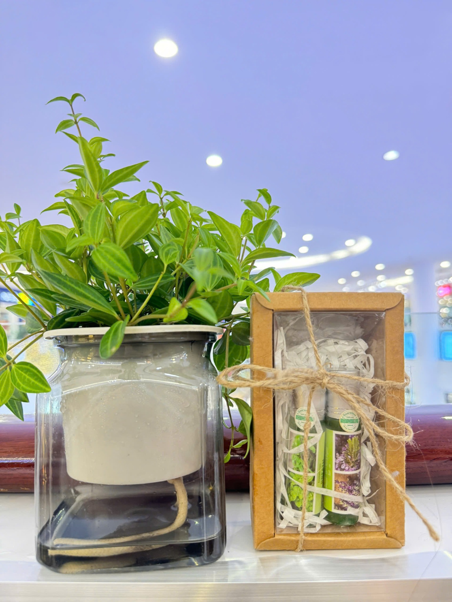 Combo Chữa Lành Tự Nhiên – Đánh Thức Năng Lượng Sống Từ Thiên Nhiên | Aroma Việt Nam