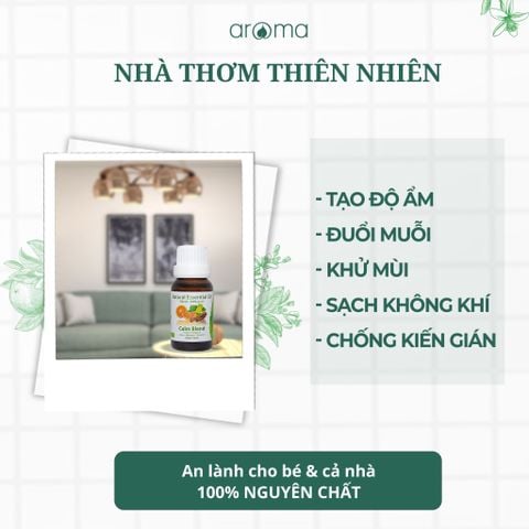 Tinh Dầu Thiên Nhiên Hoa Hồi - Star Anise Essential Oil - tinh dầu xông nhà, tinh dầu thơm nhà