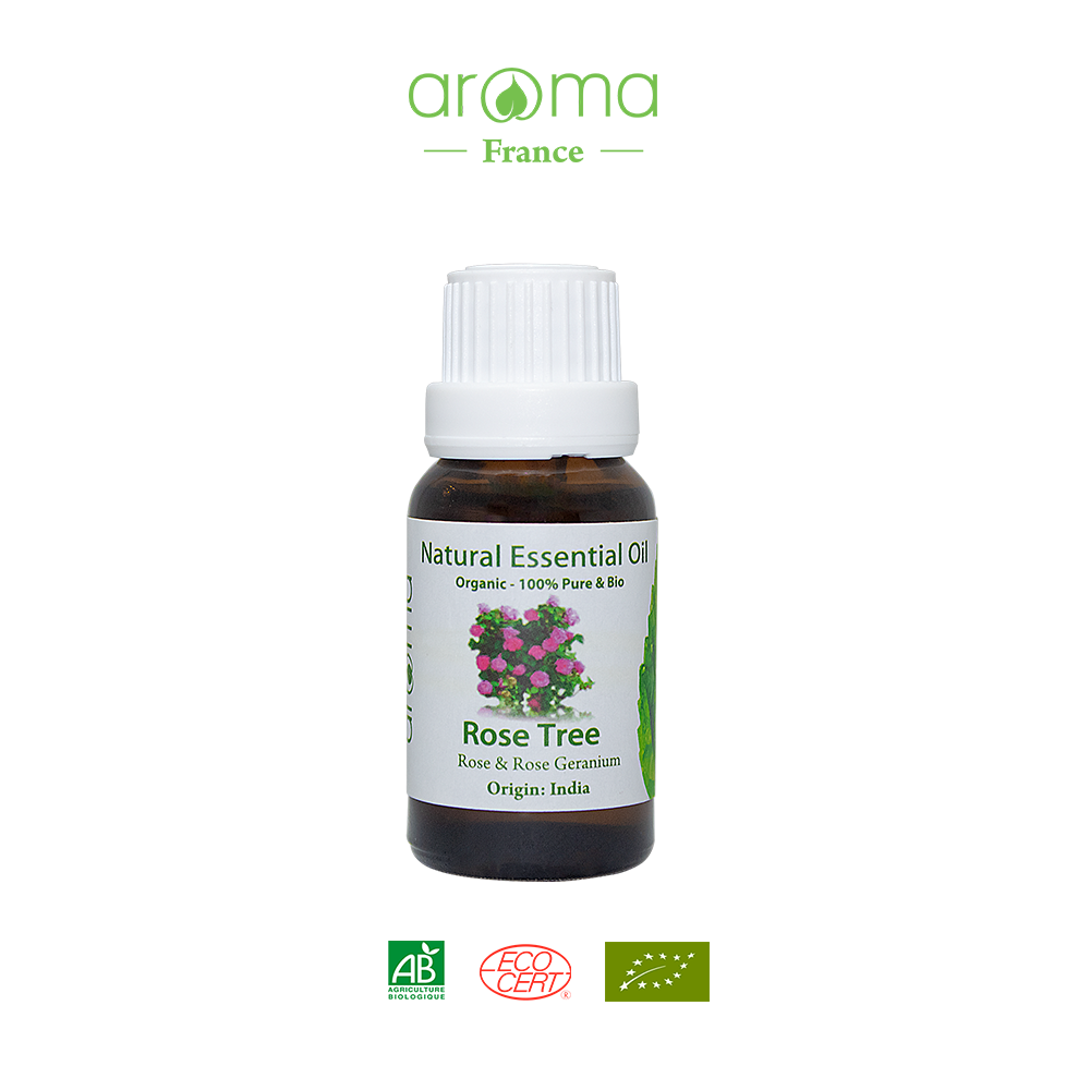 Tinh Dầu Thiên Nhiên Hồng Leo - Rose Tree Essential Oil - tinh dầu xông nhà, tinh dầu thơm nhà