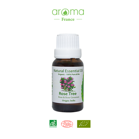 Tinh Dầu Thiên Nhiên Hồng Leo - Rose Tree Essential Oil - tinh dầu xông nhà, tinh dầu thơm nhà