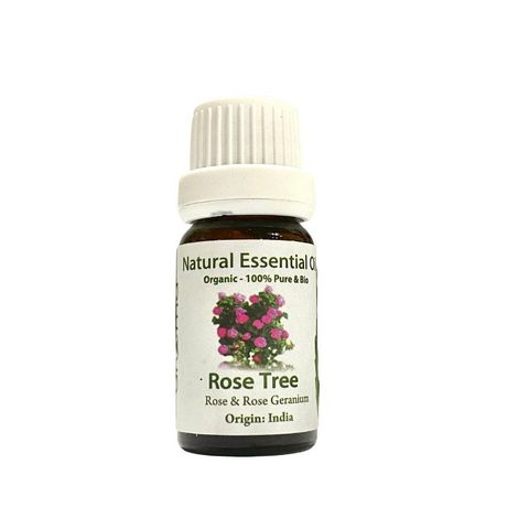 Tinh Dầu Thiên Nhiên Hồng Leo - Rose Tree Essential Oil - tinh dầu xông nhà, tinh dầu thơm nhà
