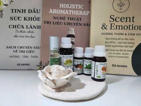 Bộ 3 sách dẫn đầu về tinh dầu & chữa lành tự nhiên 2025 – Độc bản Hà Aroma | Ebooks