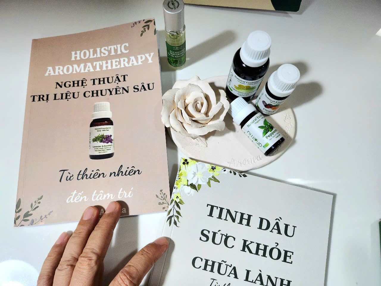 Combo Sách & Tinh Dầu Chữa Lành – Tự Nhiên Cân Bằng Thân Tâm Trí