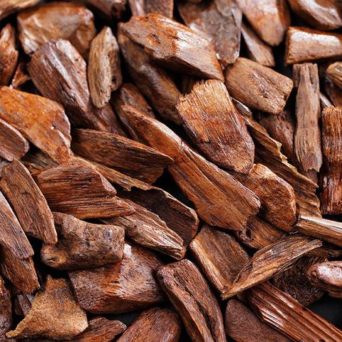Tinh Dầu Thiên Nhiên Ngọc Am - Cupressus Funebris Essential Oil - tinh dầu xông nhà, tinh dầu thơm nhà