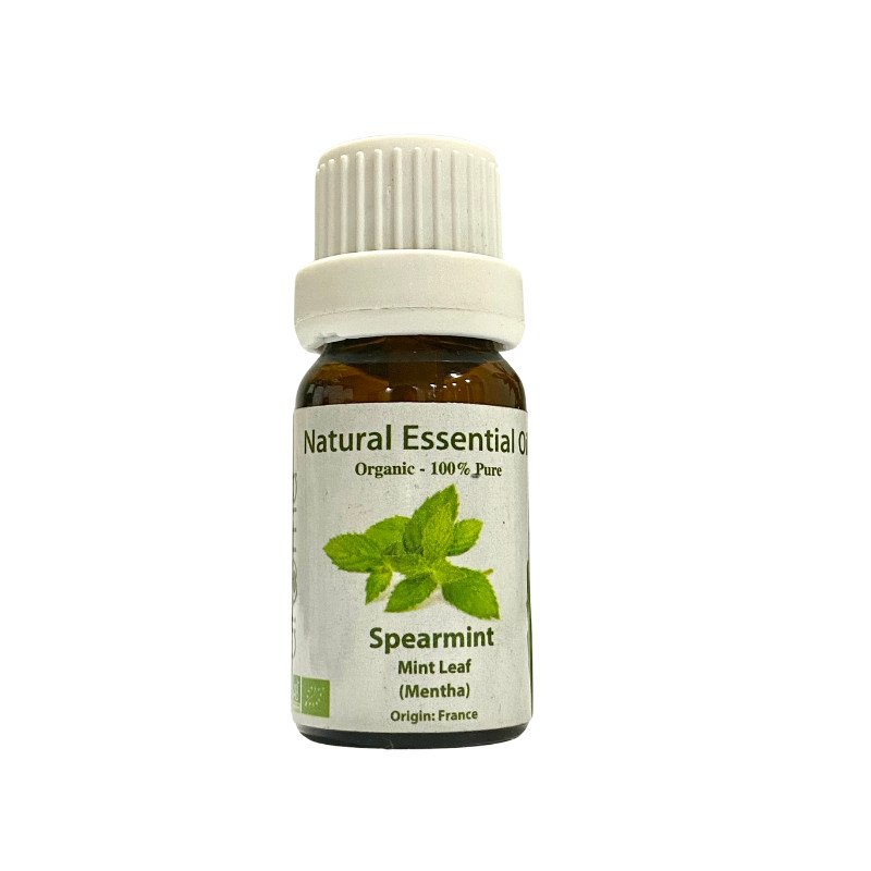 Tinh Dầu Thiên Nhiên Bạc Hà Lá Dài - Spearmint Essential Oil - Tinh dầu bạc hà, tinh dầu xông nhà, tinh dầu thơm nhà