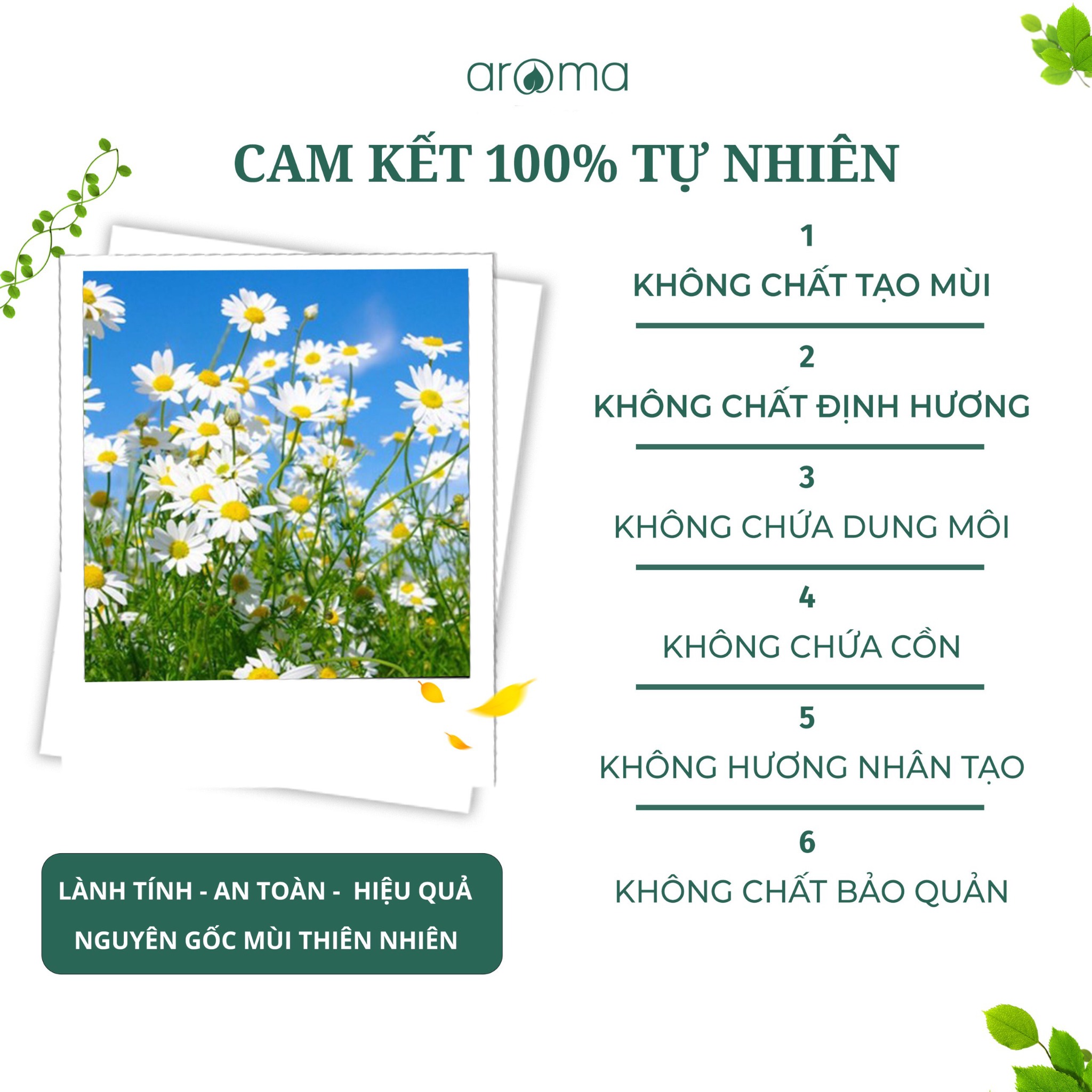 Tinh Dầu Bạc Hà Khuynh Diệp Aroma Breath – Kháng Viêm, Đuổi Muỗi, Làm Sạch Không Gian