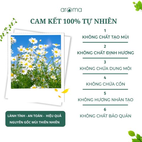 Tinh Dầu Bạc Hà Khuynh Diệp Aroma Breath – Kháng Viêm, Đuổi Muỗi, Làm Sạch Không Gian
