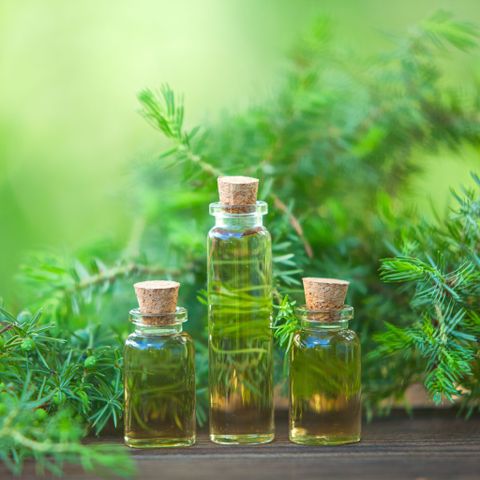 Tinh Dầu Hữu Cơ Dành Cho Da Dầu - Eco Oil Skin Essential Oil - tinh dầu xông nhà, tinh dầu thơm nhà