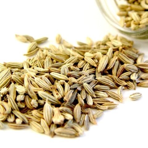 Tinh Dầu Thiên Nhiên Thì Là  - Fennel Bitter Essential Oil - tinh dầu xông nhà, tinh dầu thơm nhà