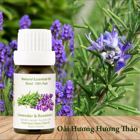 Tinh Dầu Thiên Nhiên Oải Hương & Hương Thảo - Lavender & Rosemary Essential Oil - Tinh dầu oải hương - Tinh dầu hương thảo, tinh dầu xông nhà, tinh dầu thơm nhà