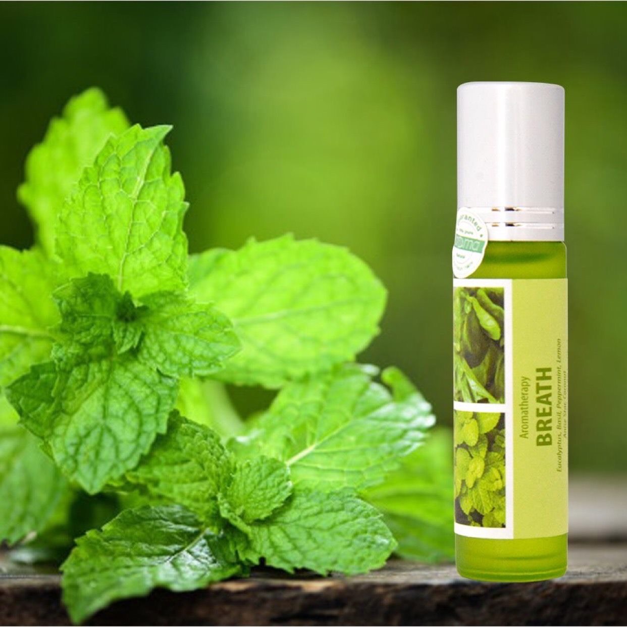 Dầu Lăn Breath Aroma – Thông Mũi, Chống Cảm, Dịu Thở Tức Thì