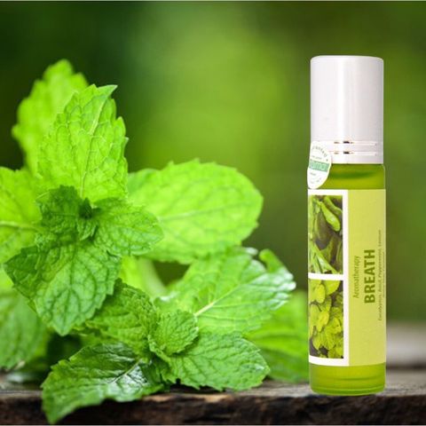 Dầu Lăn Breath Aroma – Thông Mũi, Chống Cảm, Dịu Thở Tức Thì