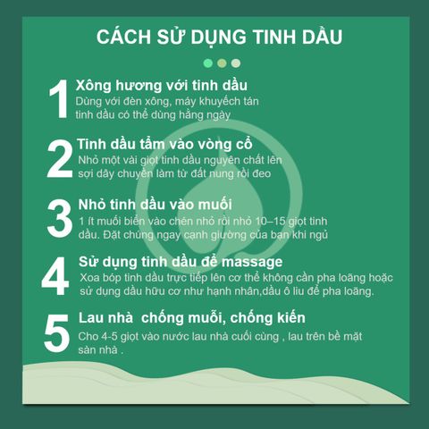 Combo treo xe ô tô Bưởi & Gừng