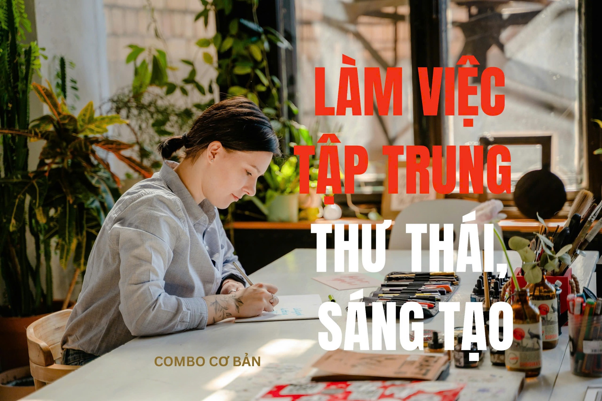 Combo Tinh Dầu Tập Trung Làm Việc – Hương Thảo, Sả Gừng, Bạc Hà – Giải Pháp Giảm Mệt Mỏi