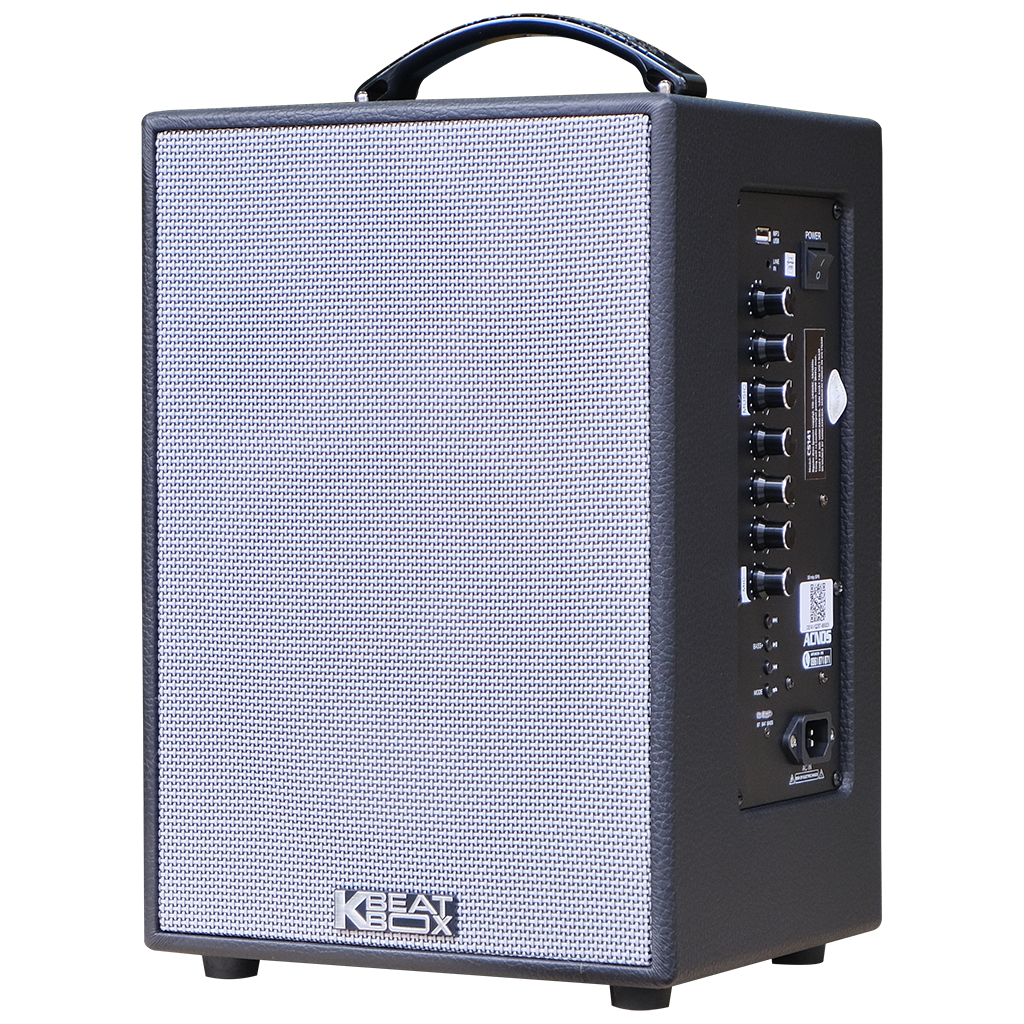 1. Giới thiệu về Loa Acnos CS141
