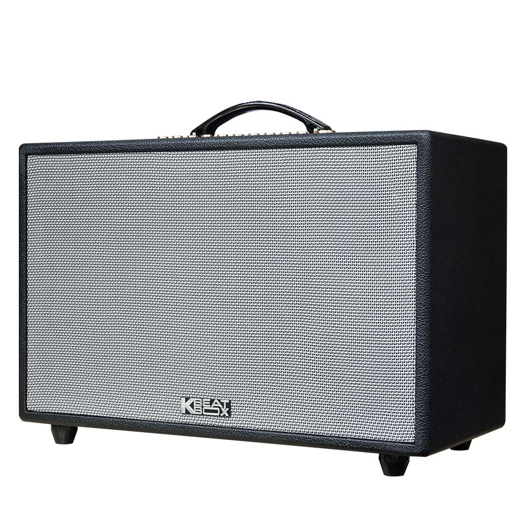 Giới thiệu về Loa ACNOS 3600