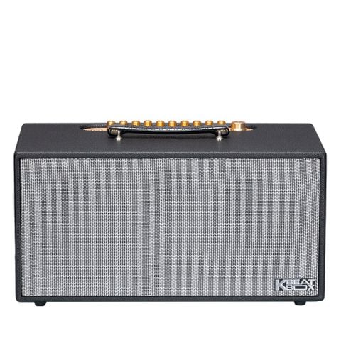 SONCAMEDIA CS450PRO