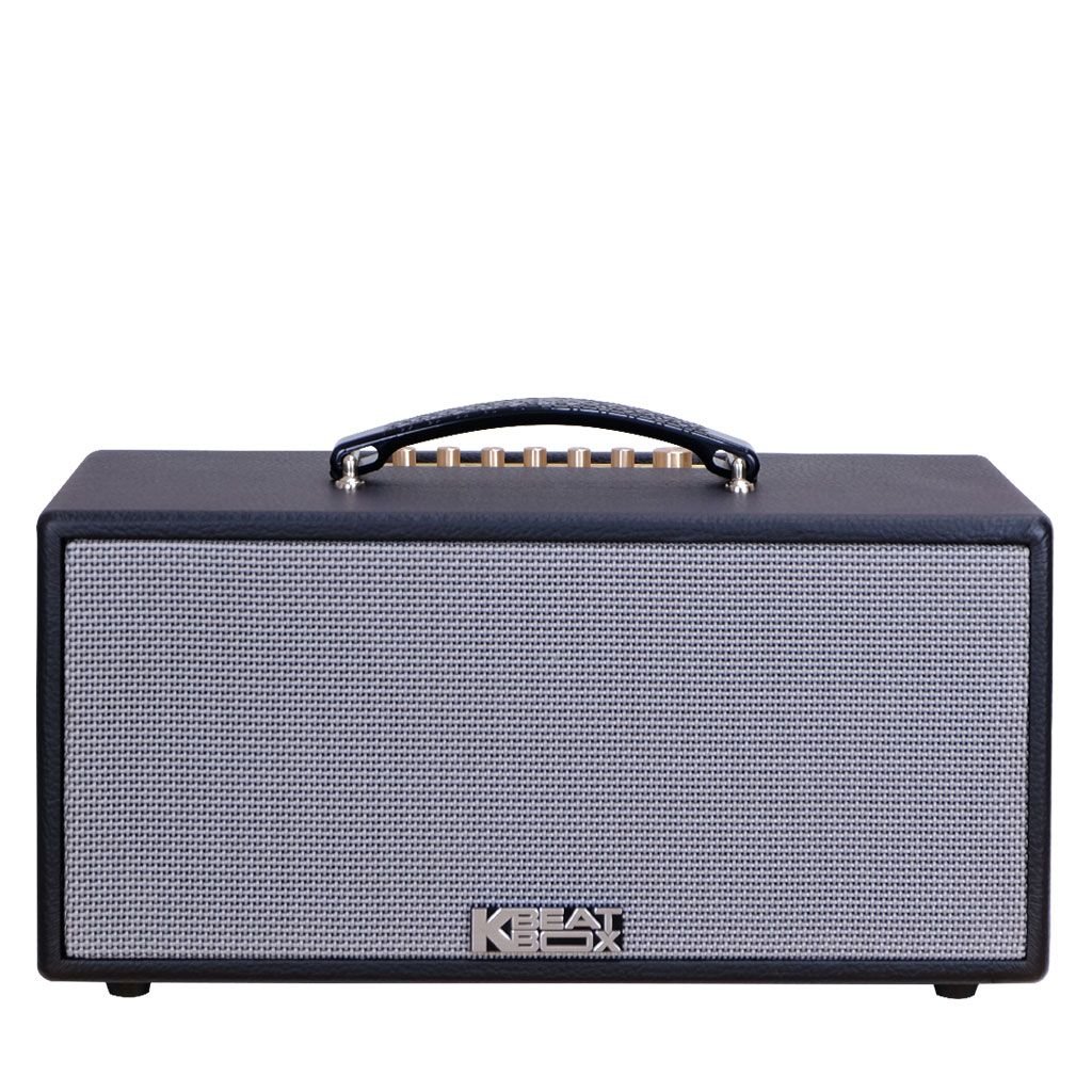Loa Karaoke Di Động Xách Tay Mini ACNOS KS363V – Soncamedia