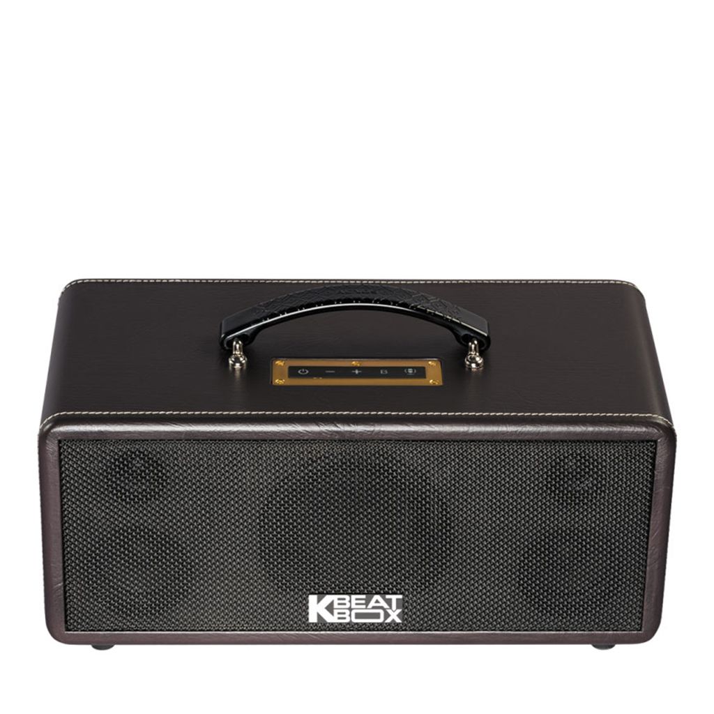1. Giới thiệu về Loa Acnos KS361MS