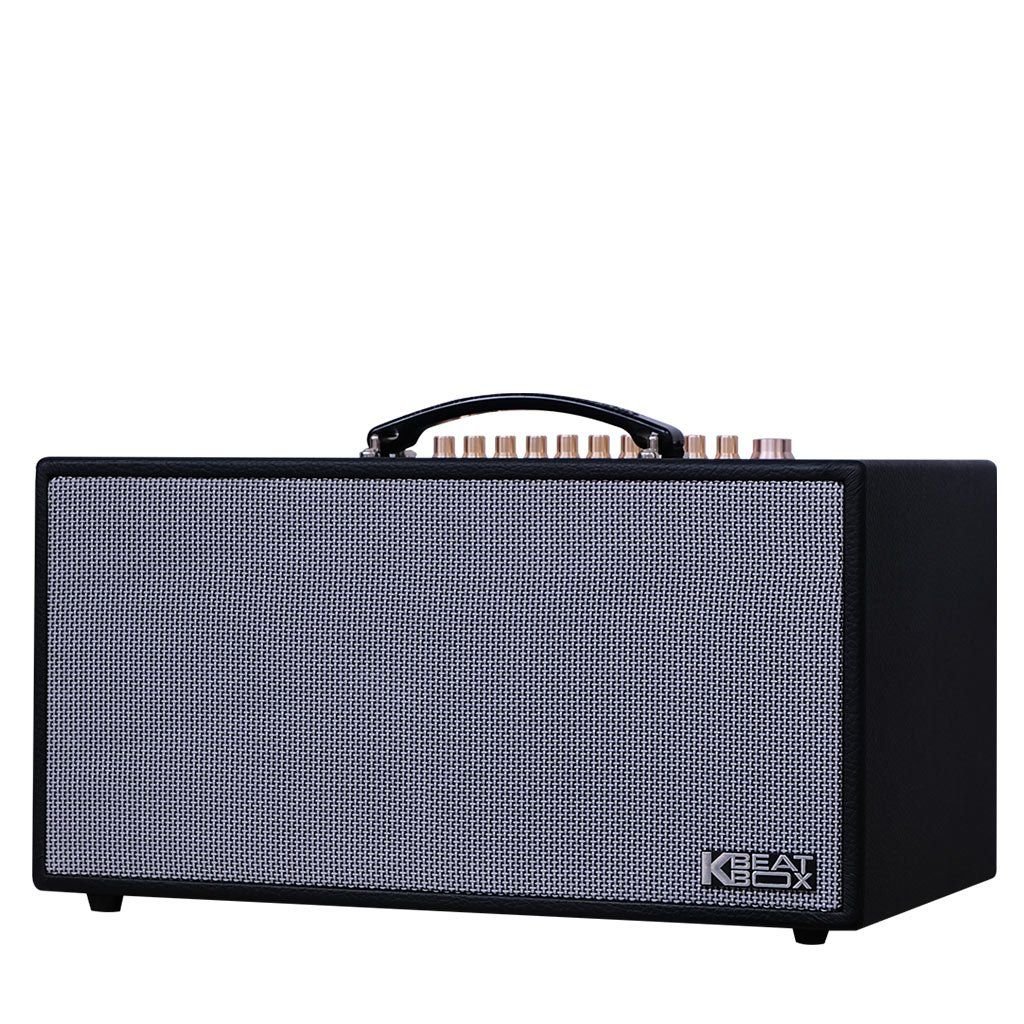 1. Giới thiệu về Loa Acnos CS450SRV