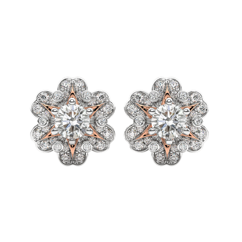 Bông Tai - ERFYJ2410671