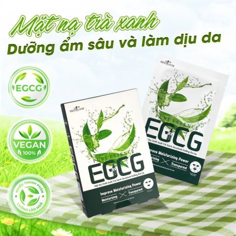 MẶT NẠ TRÀ XANH DƯỠNG ẨM SÂU VÀ LÀM DỊU DA