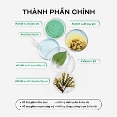 COMBO 2 CHAI XỊT KHOÁNG TRÀM TRÀ HỖ TRỢ GIẢM DẦU MỤN VÀ DƯỠNG ẨM DA SEXYLOOK