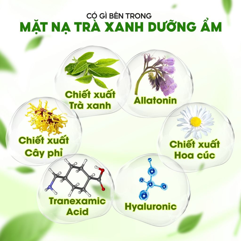 CB 8M MẶT NẠ TRÀ XANH DƯỠNG ẨM SÂU VÀ LÀM DỊU DA
