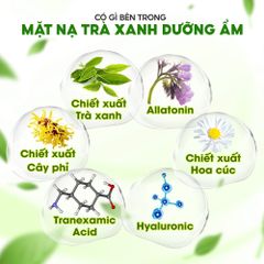 CB 50 MIẾNG MẶT NẠ CHIẾT XUẤT TC TRÀ XANH TĂNG ỔN ĐỊNH DA