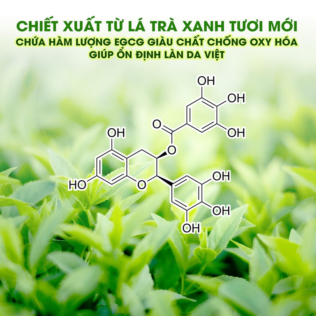 CB 8M MẶT NẠ TRÀ XANH DƯỠNG ẨM SÂU VÀ LÀM DỊU DA