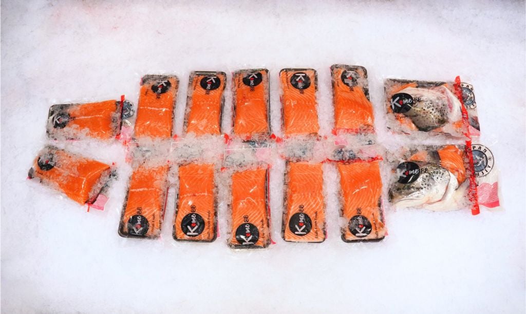 Cá Hồi Na Uy tươi nguyên con (5 – 6kg/con)