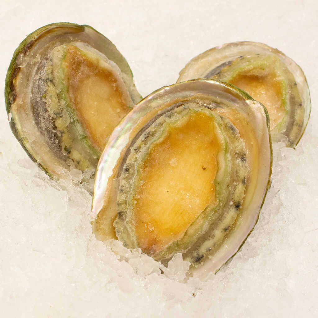 Bào ngư Úc viền xanh nguyên con đông lạnh - size 7 con/kg