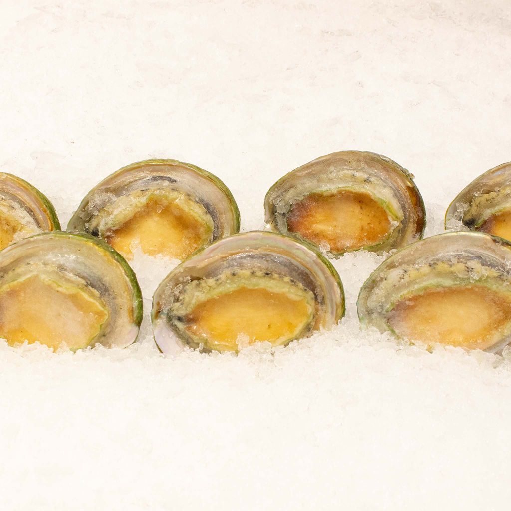 Bào ngư Úc viền xanh nguyên con đông lạnh - size 7 con/kg