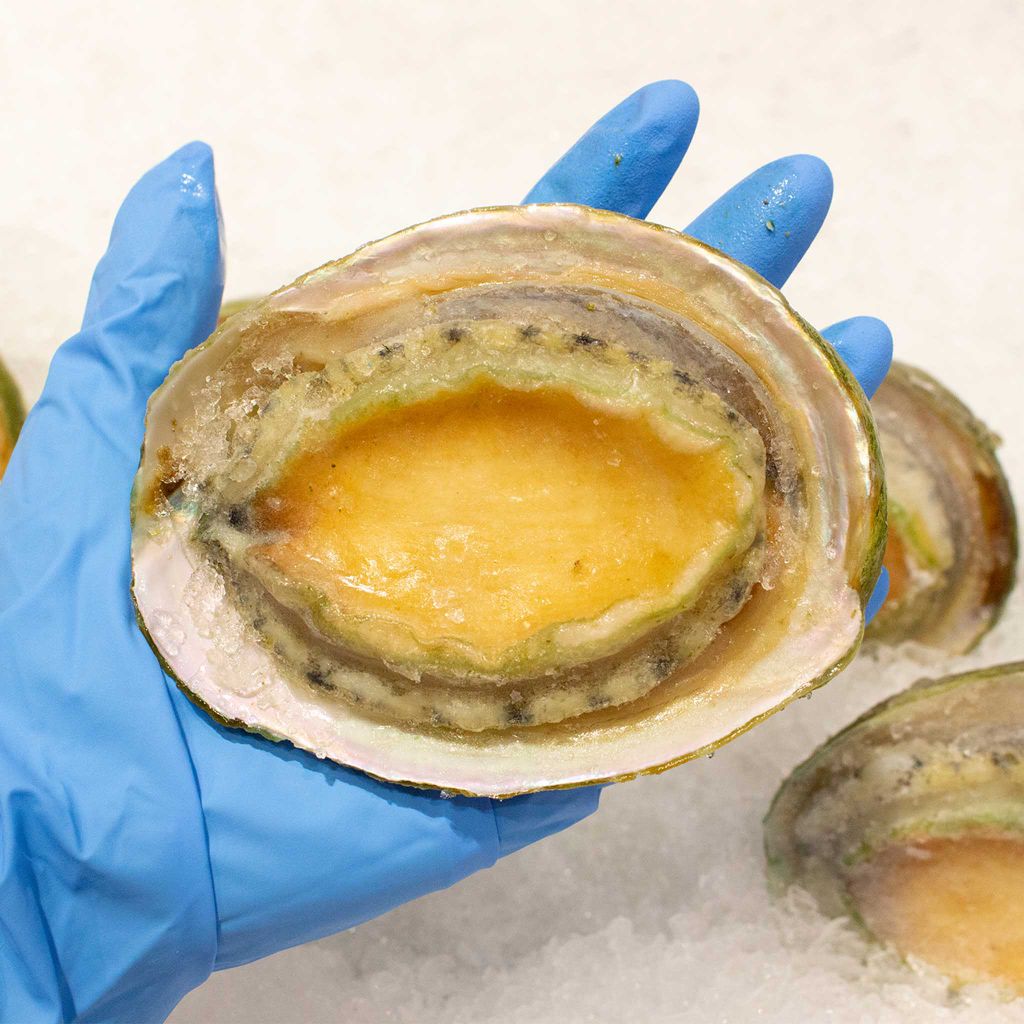 Bào ngư Úc viền xanh nguyên con đông lạnh - size 7 con/kg