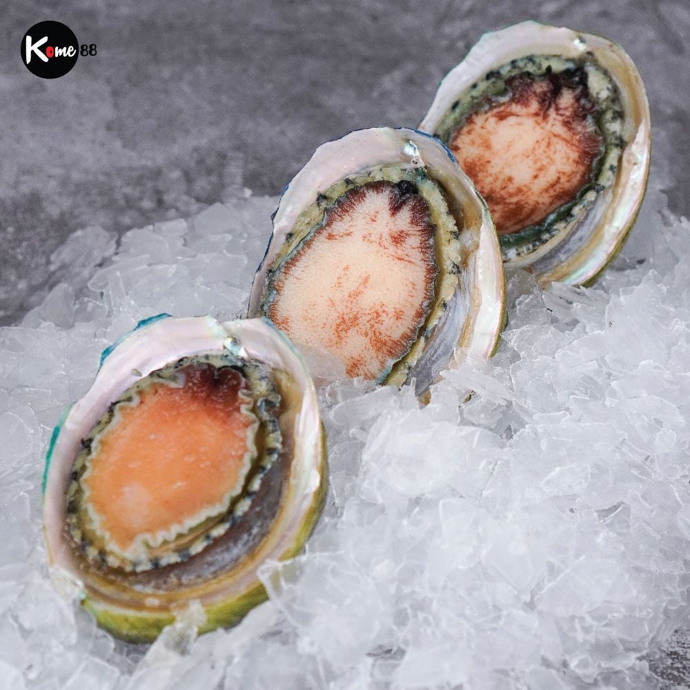 Bào ngư Úc viền xanh nguyên con đông lạnh - size 6 con/kg