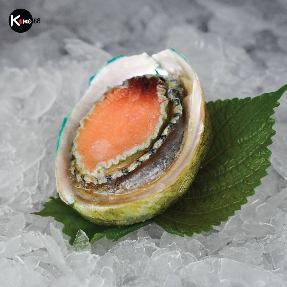 Bào ngư Úc viền xanh nguyên con đông lạnh - size 6 con/kg