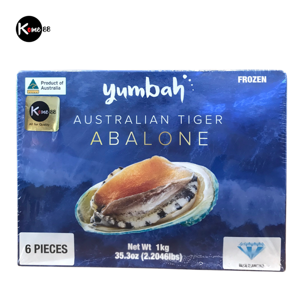 Bào ngư Úc viền xanh nguyên con đông lạnh - Size 6 con/kg