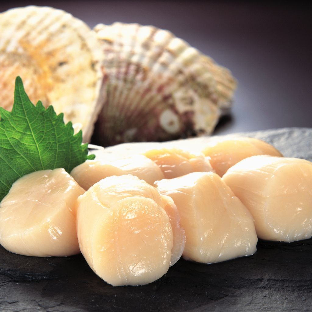 Sò Điệp Nhật Bản Sashimi - Japanese Scallop (Sashimi Grade) 200G