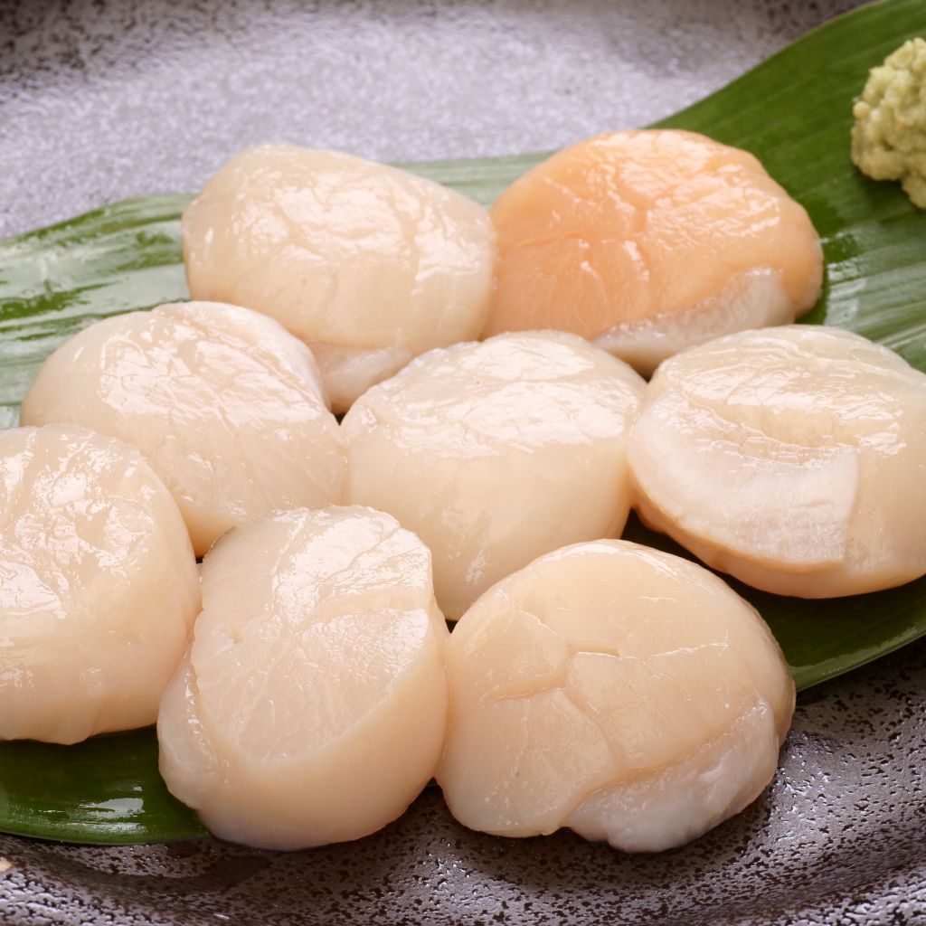 Sò Điệp Nhật Bản Sashimi - Japanese Scallop (Sashimi Grade) 200G