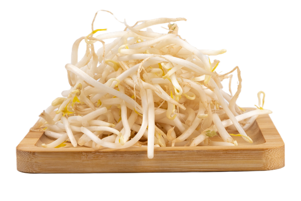 Giá đậu xanh 300gr