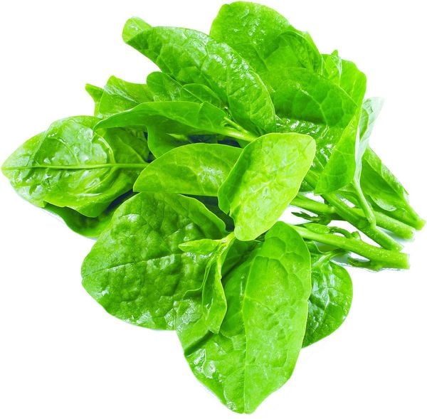 Rau mồng tơi baby 300gr