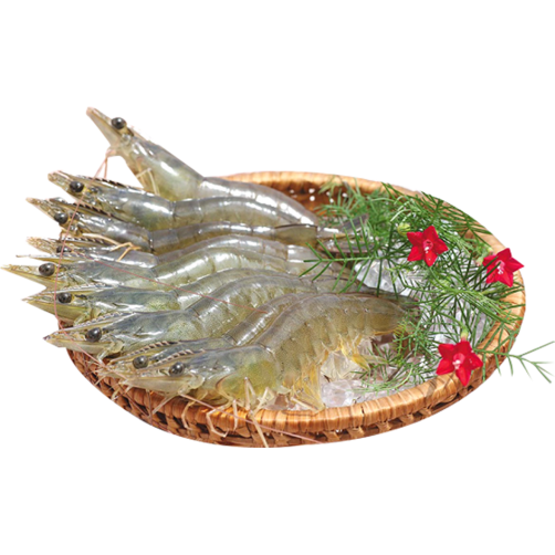 Tôm thẻ trung ( Loại 60-70 con/kg)
