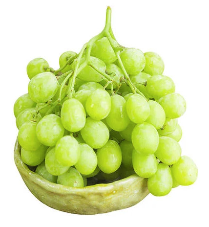 Nho xanh không hạt Mỹ