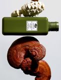  Lotion Nấm Phục Hồi Origins Mega Mushroom Relief & Resilience Soothing Treatment Lotion 