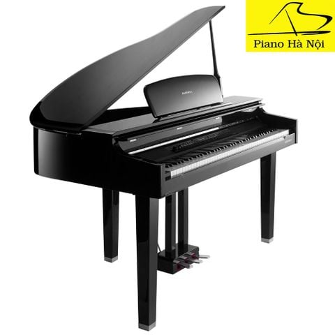 Piano Kurzweil CGP220